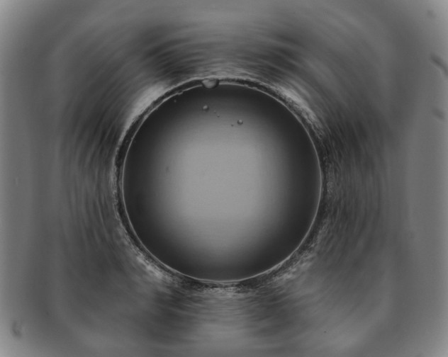 X0000091580990200708271216