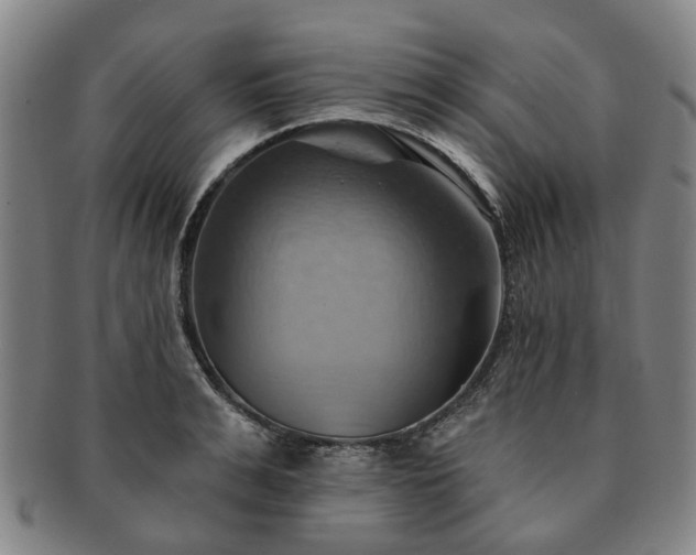 X0000091580991200708271216