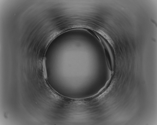 X0000091580993200708271216