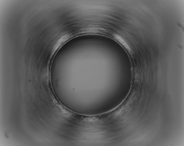 X0000091580994200708271216