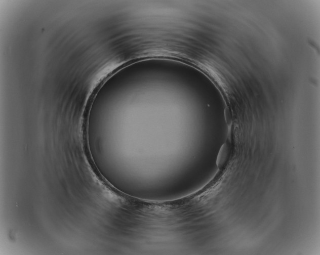 X0000091580995200708271216