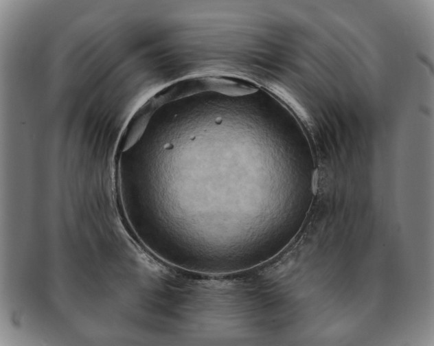 X0000091580996200708271216