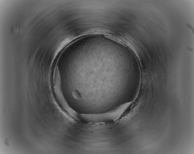 X0000091580997200708271216