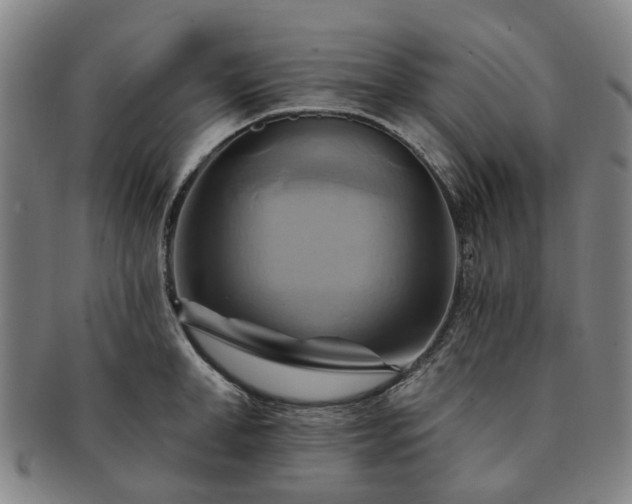 X0000091580998200708271216