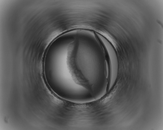 X0000091580999200708271216
