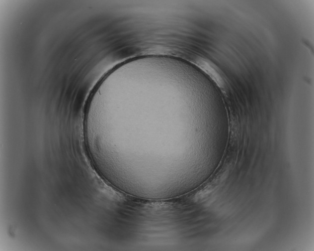 X0000091581000200708271216
