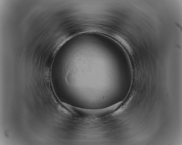 X0000091581001200708271216