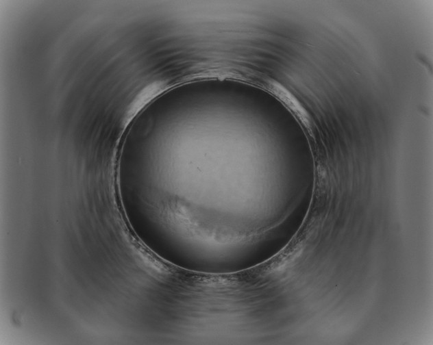 X0000091581002200708271216