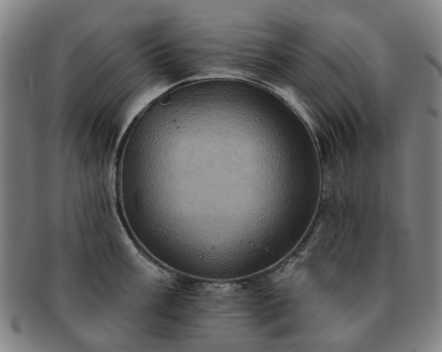 X0000091581003200708271216