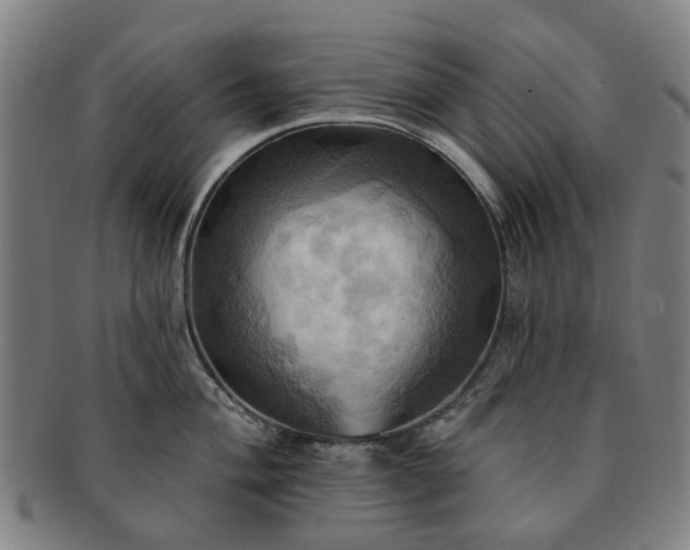 X0000091581004200708271216
