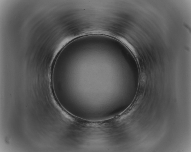 X0000091581005200708271216