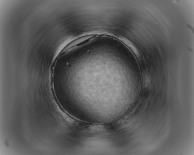 X0000091581006200708271216