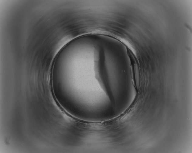 X0000091581007200708271216