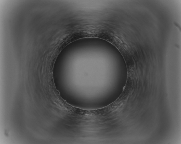 X0000091581009200708271215