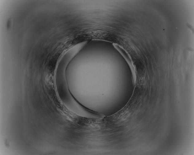 X0000091581010200708271215