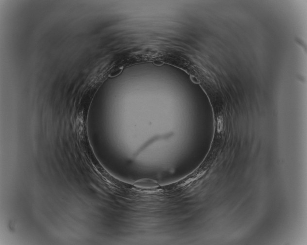 X0000091581011200708271215