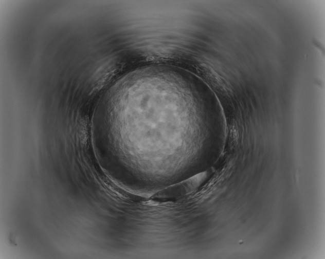 X0000091581012200708271215