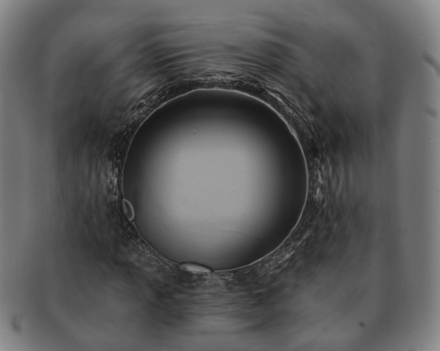 X0000091581013200708271215
