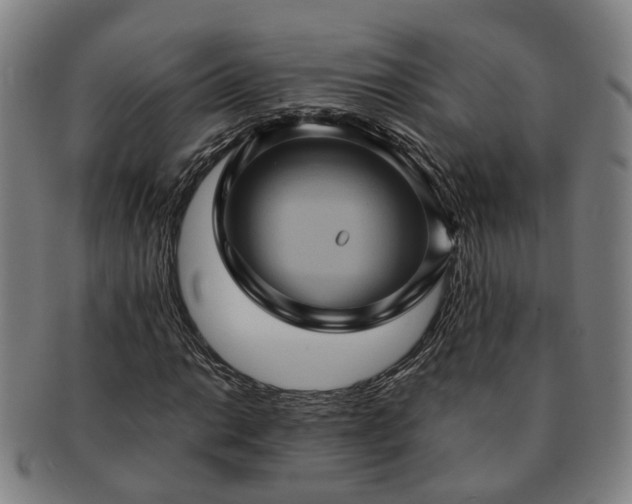 X0000091581014200708271215