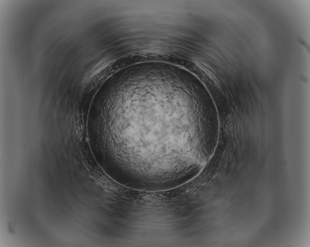 X0000091581015200708271215