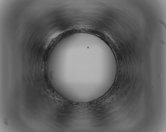 X0000091581016200708271215