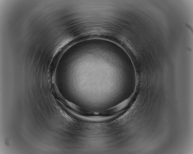 X0000091581018200708271215