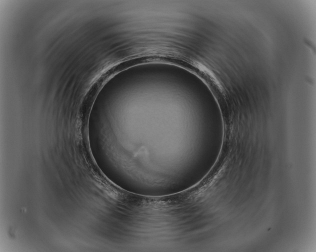 X0000091581019200708271215