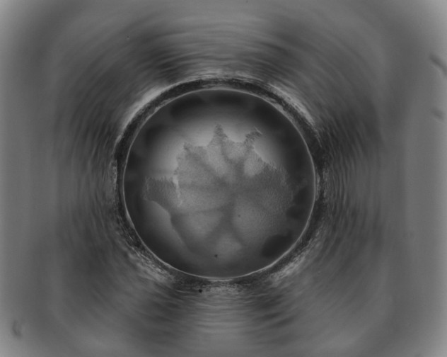 X0000091581021200708271215
