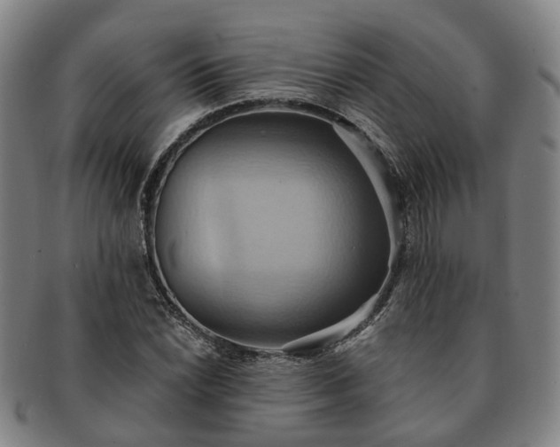 X0000091581022200708271215