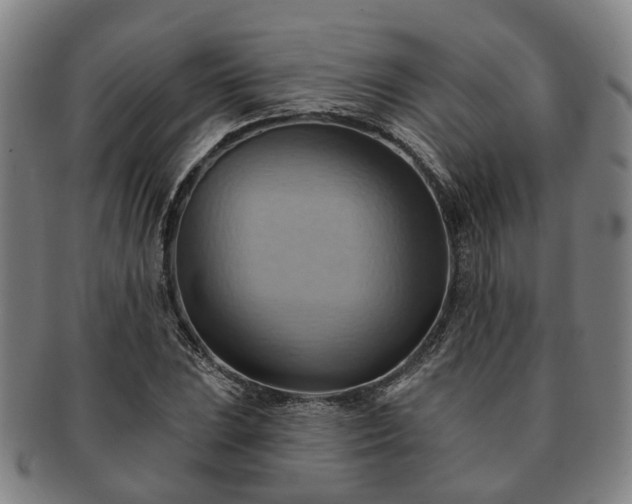 X0000091581023200708271215