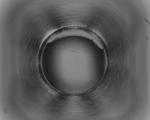 X0000091581024200708271215