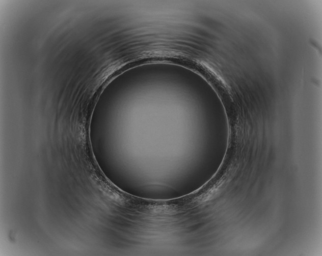 X0000091581025200708271215