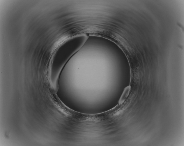 X0000091581026200708271215