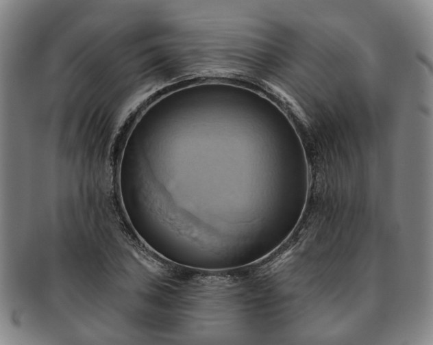 X0000091581027200708271216