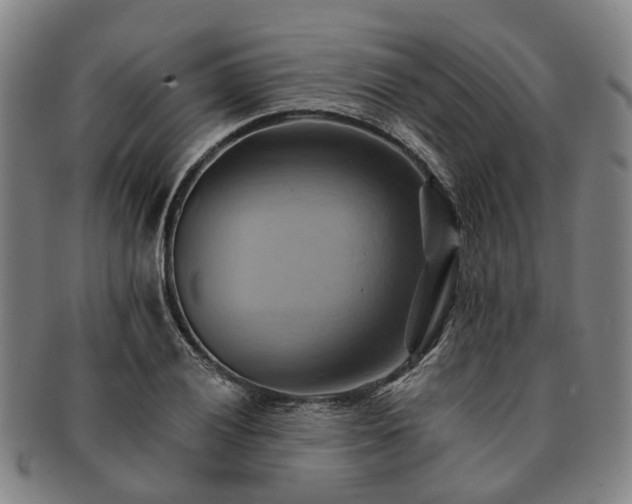 X0000091581028200708271216