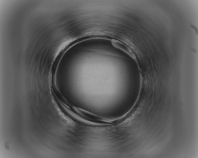 X0000091581030200708271216