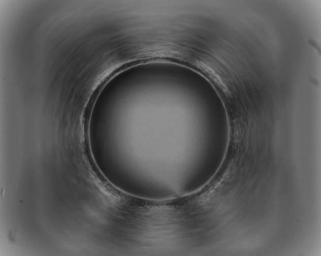 X0000091581031200708271216