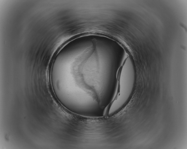 X0000091581032200708271216