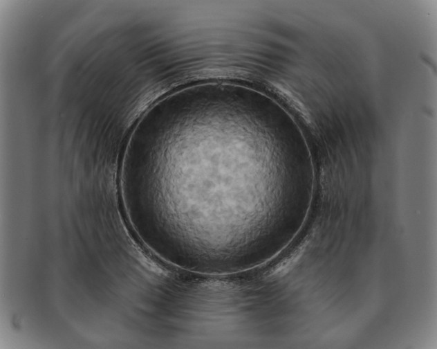X0000091581033200708271216