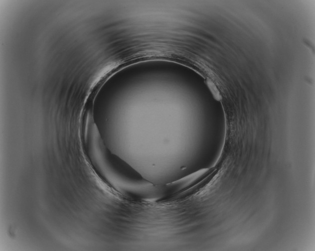 X0000091581034200708271216