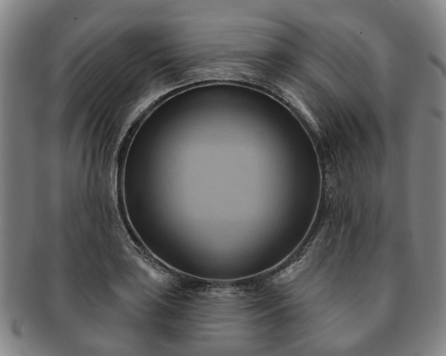 X0000091581035200708271216