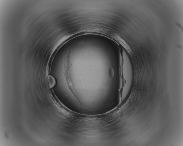 X0000091581036200708271216