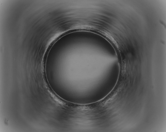 X0000091581037200708271216