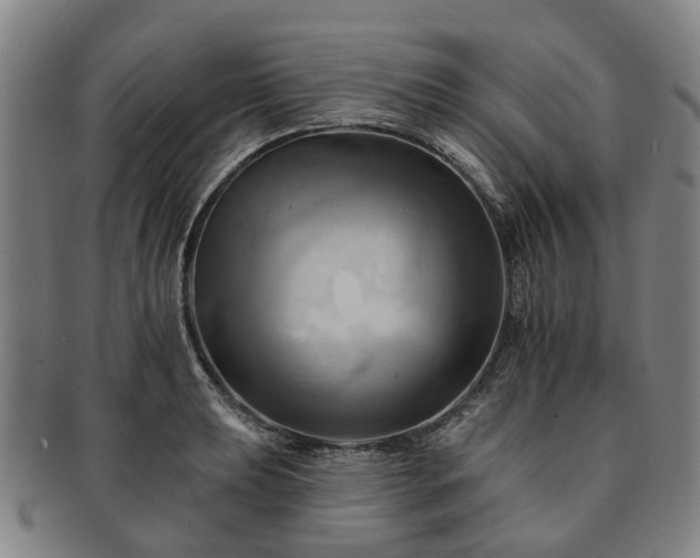 X0000091581039200708271216