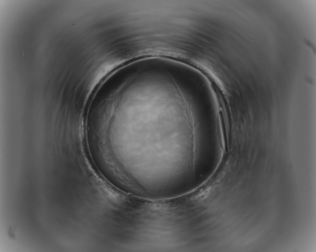 X0000091581040200708271216
