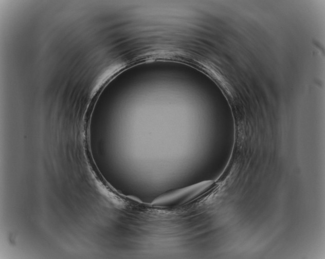 X0000091581042200708271216
