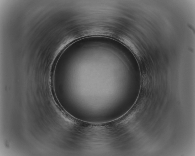 X0000091581043200708271216