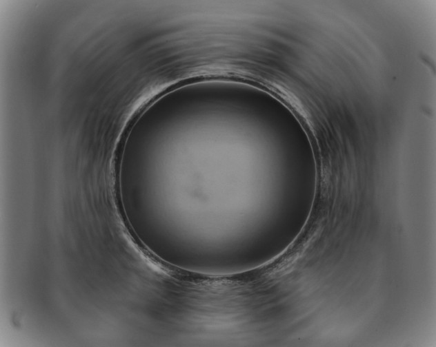 X0000091581045200708271216