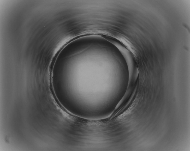 X0000091581046200708271216