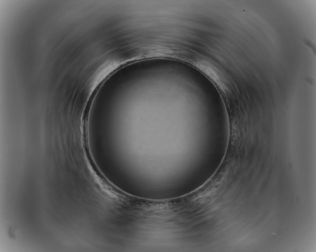 X0000091581047200708271216